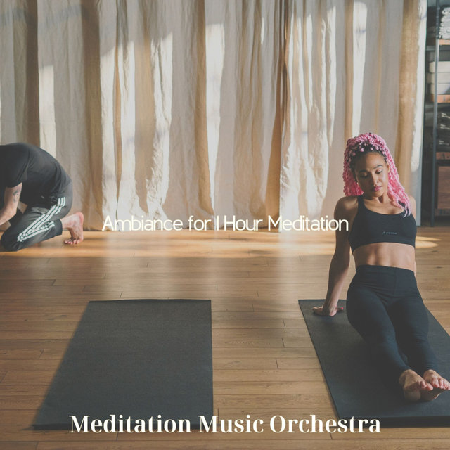 Ambiance for 1 Hour Meditation