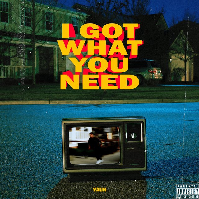 I Got What You Need