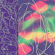Cover art for album Passageway by Nap Eyes