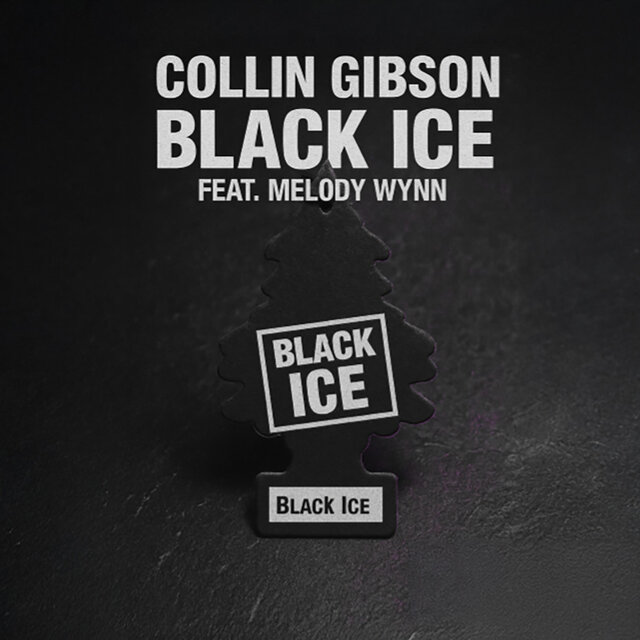 Black Ice (feat. Melody Wynn) [Radio Edit]