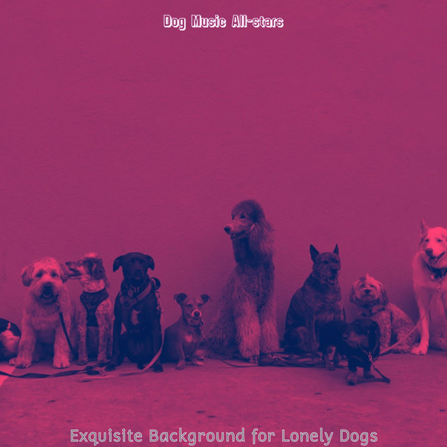 Exquisite Background for Lonely Dogs