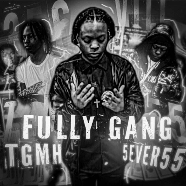 FULLY GANG