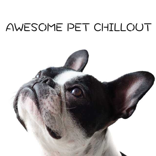 Awesome Pet Chillout