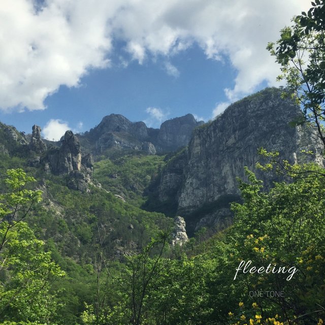Fleeting