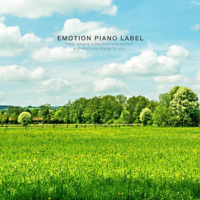 The New Age Piano Of The Workers Who Need Meditation