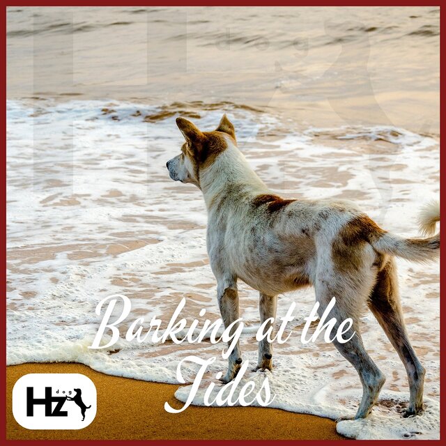 Barking at the Tides: Flute Songs and 417 Hz Waters