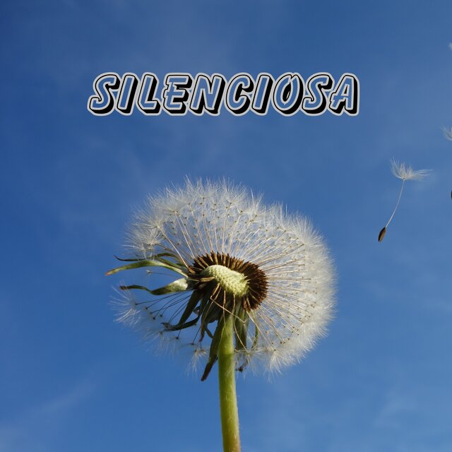 Silenciosa