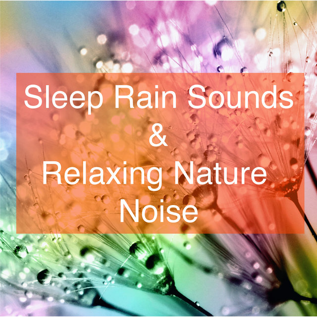 Sleep Rain Sounds and Relaxing Nature Noise (For Relaxation and Better Sleep)