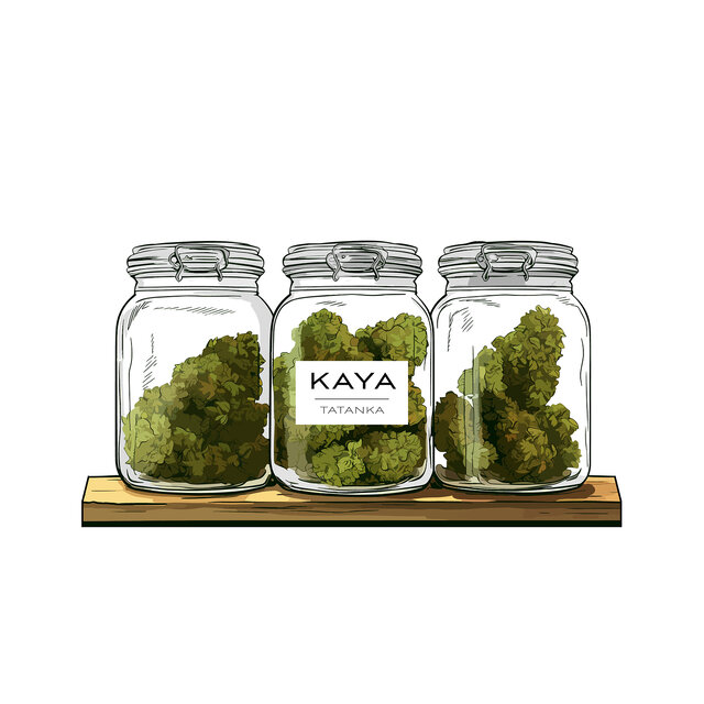 Kaya