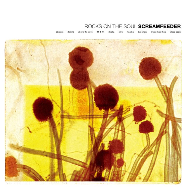 Rocks on the Soul (Deluxe)