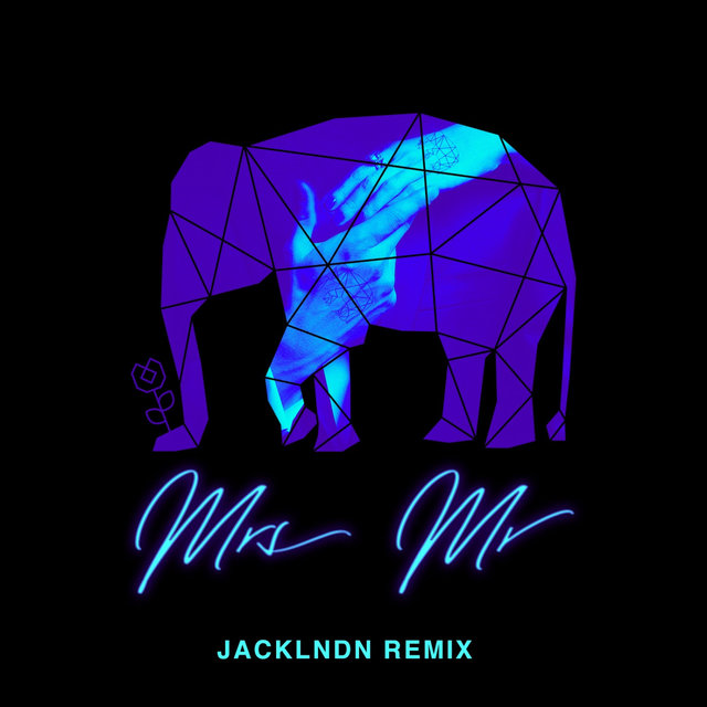 Mrs Mr (feat. Lizzy Land) (JackLNDN Remix)