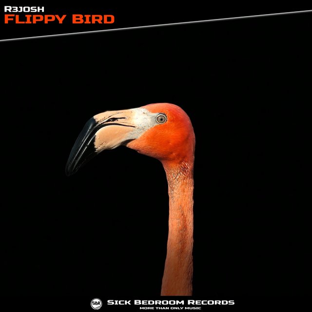 Flippy Bird 