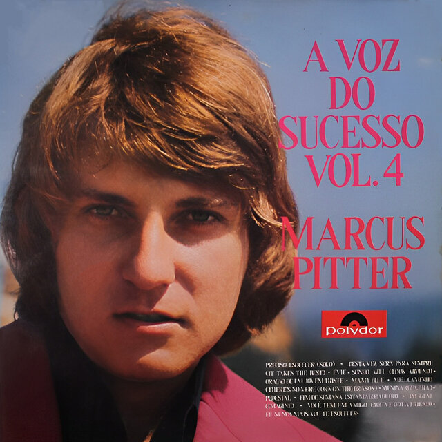 A Voz do Sucesso, Vol. 4