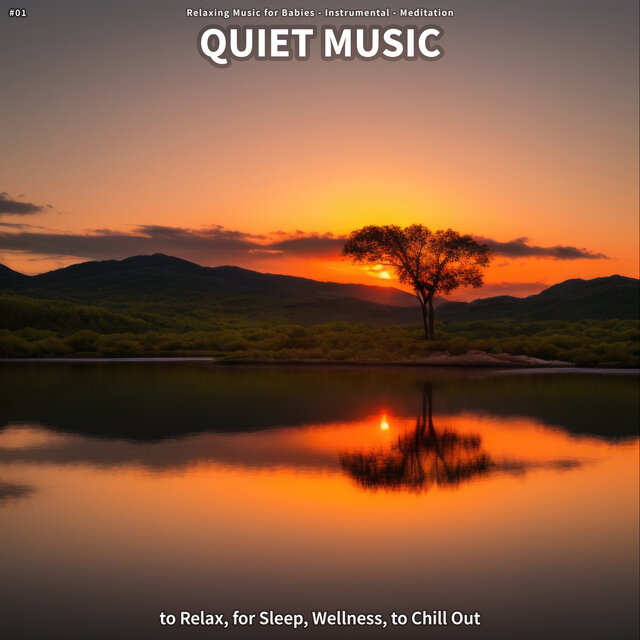 #01 Quiet Music to Relax, for Sleep, Wellness, to Chill Out