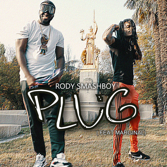 Plug