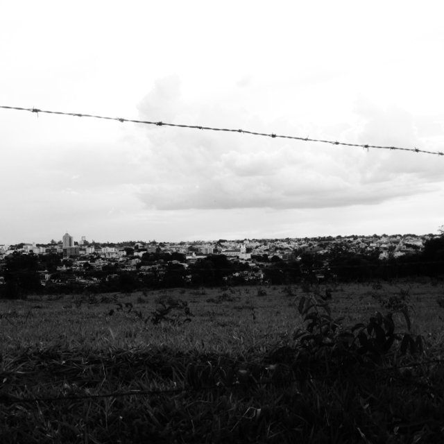 Álbum Mudo