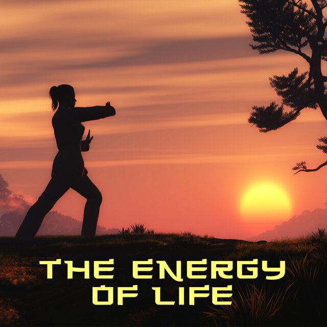 The Energy of Life (Healing Chinese Yoga, Qigong Exercise)