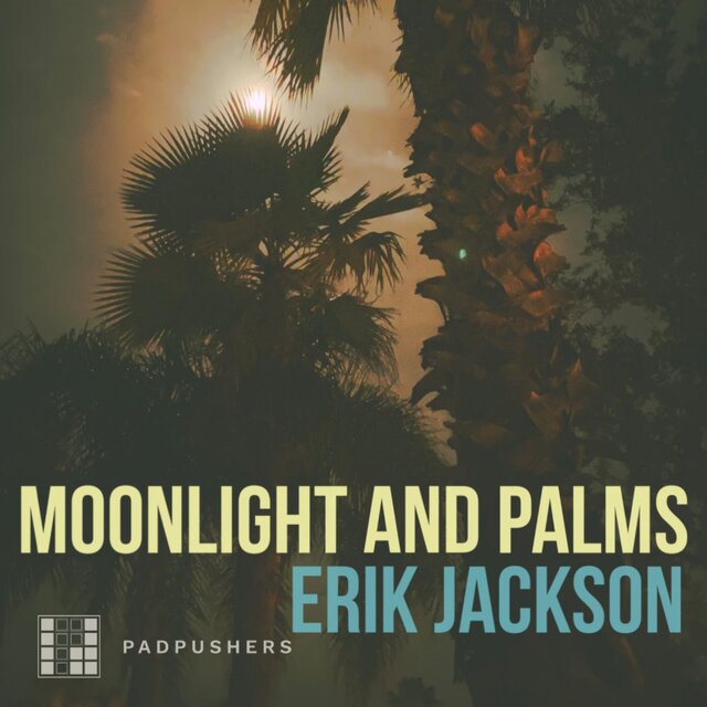 Moonlight and Palms