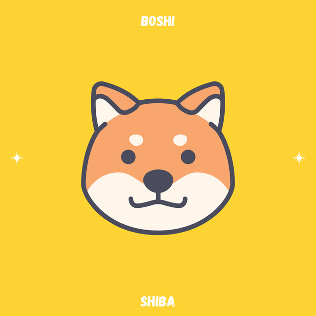 shiba