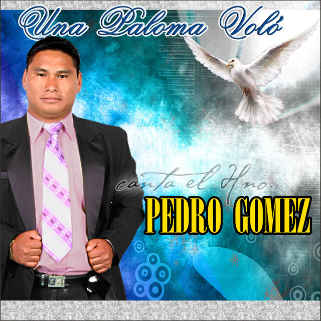 Una Paloma Volo