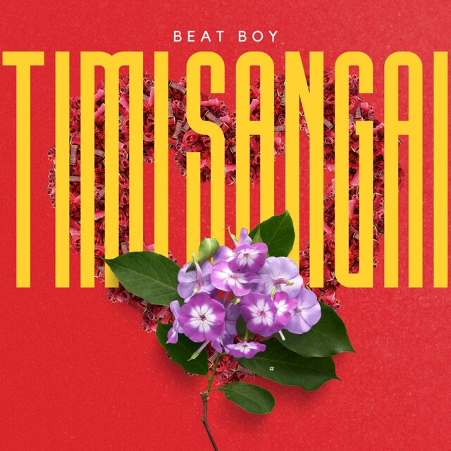 Timi Sangai
