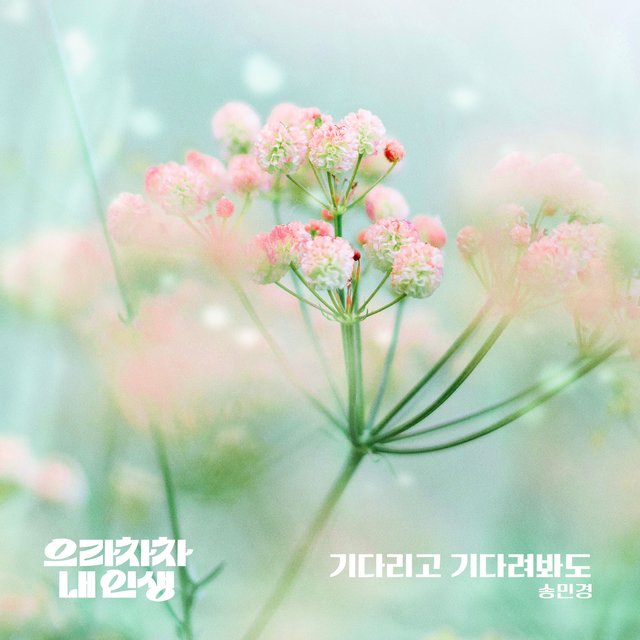 Bravo, My Life OST Part.7