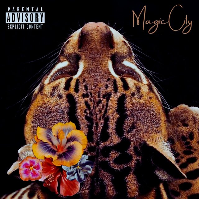 Magic City