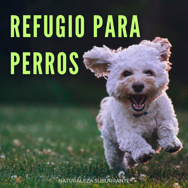 Refugio Para Perros: Naturaleza Susurrante