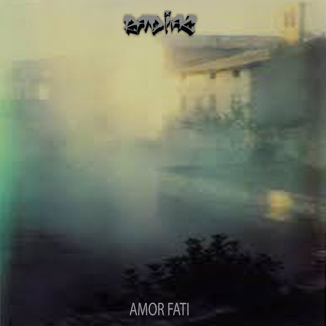 Amor Fati