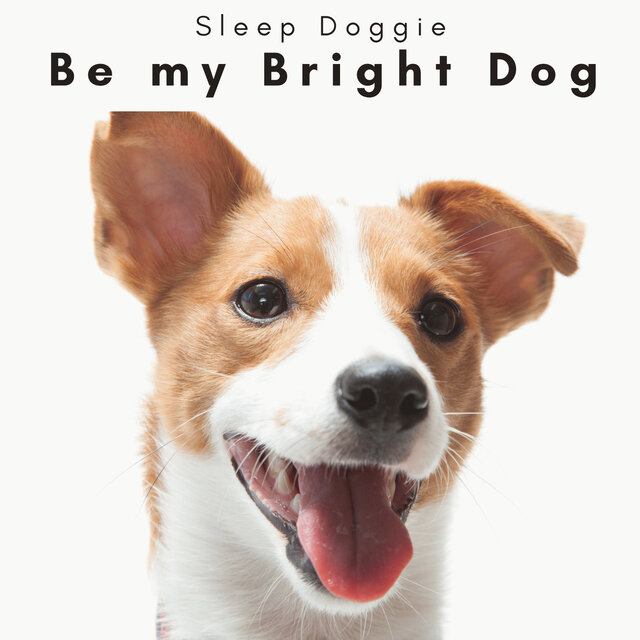 1 Be my Bright Dog