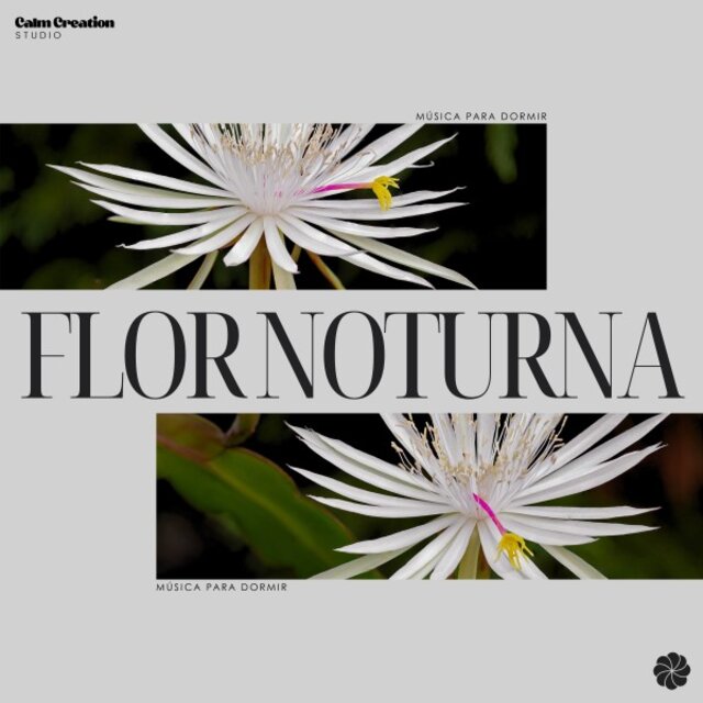 Flor Noturna