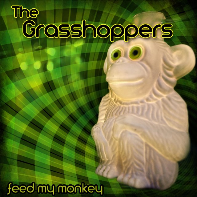 Set the Monkey Free