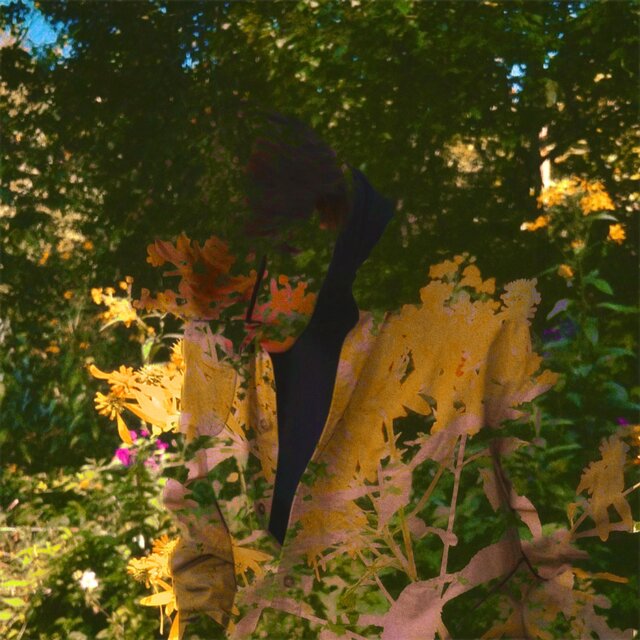 In Bloom
