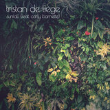 Sunfall (Asta Hiroki Remix)