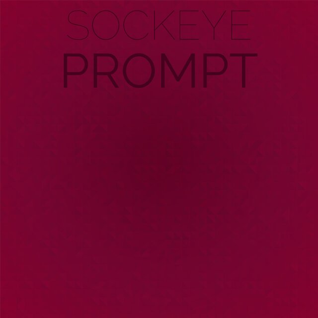 Sockeye Prompt