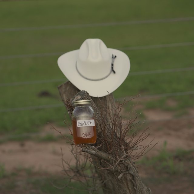 Moonshine Kidneys