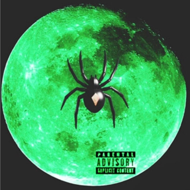 In Spiders We Trust