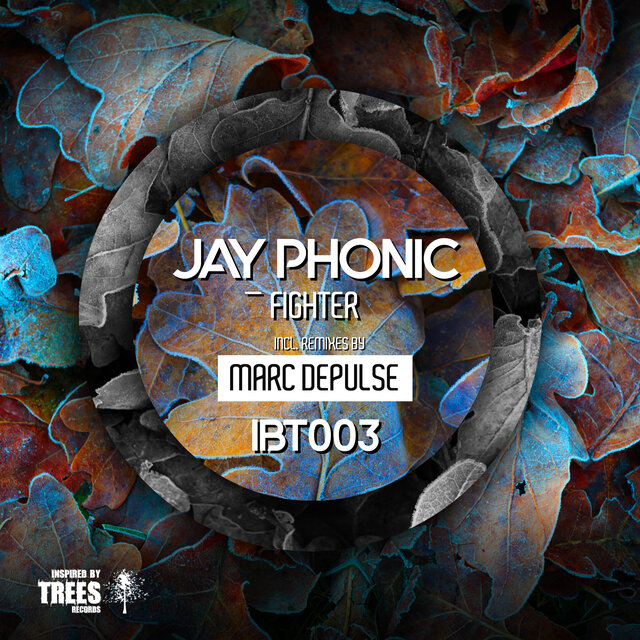 Fighter (Marc DePulse Remix)