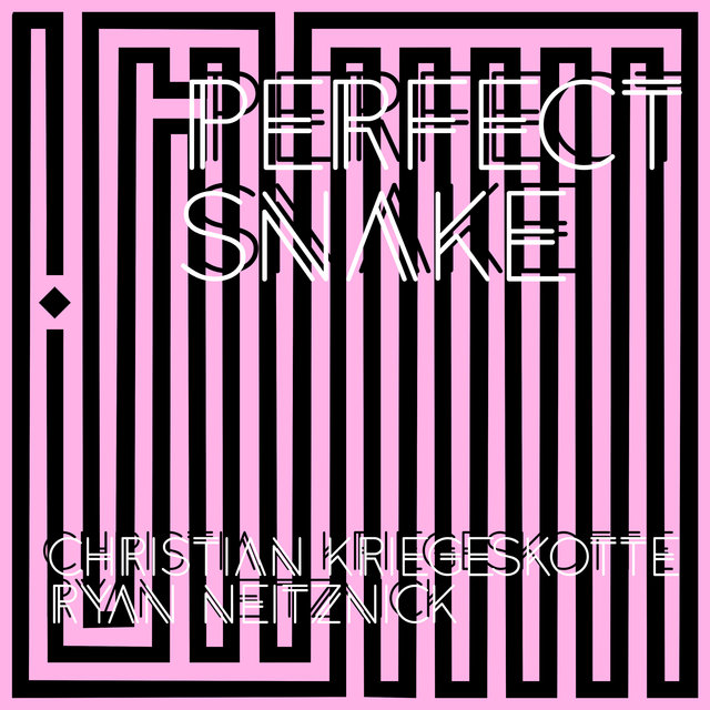 Perfect Snake: Improvisations for Two Guitars
