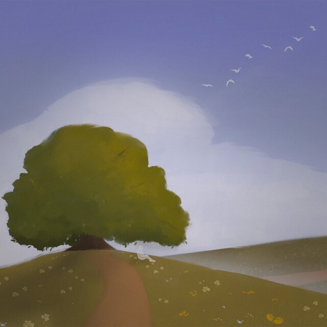 Sky Ladder
