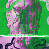 Cicuta