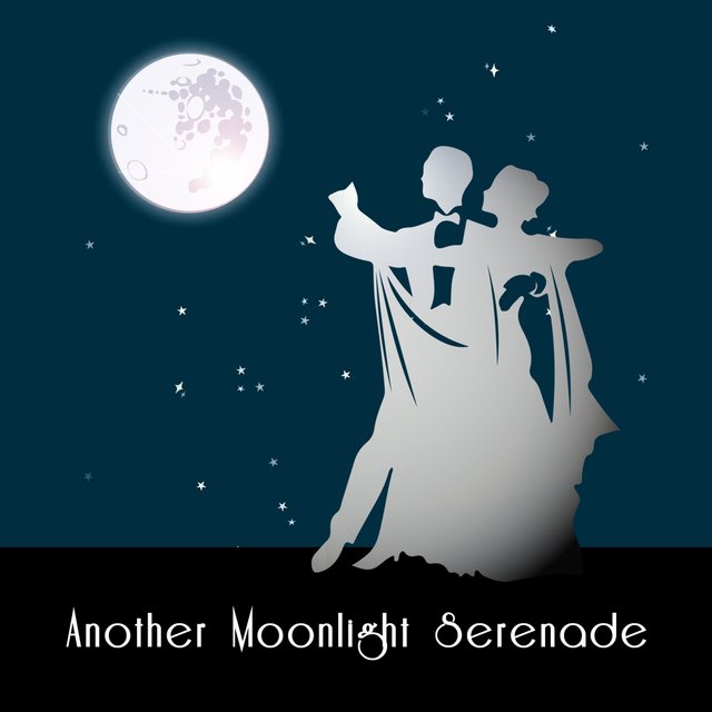 Another Moonlight Serenade