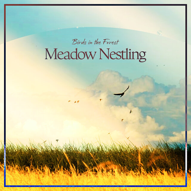 Meadow Nestling