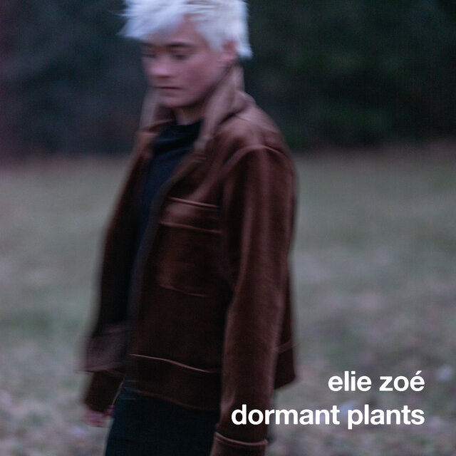 dormant plants