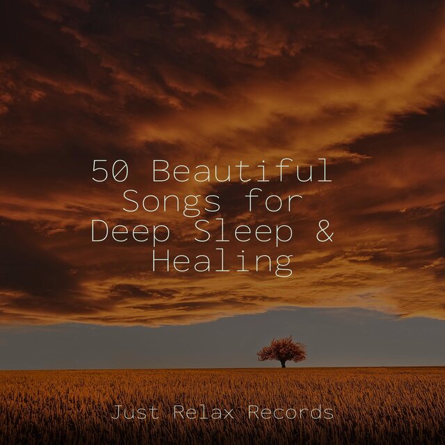 50 Beautiful Songs for Deep Sleep & Healing