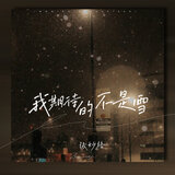 我期待的不是雪（而是有你的冬天）