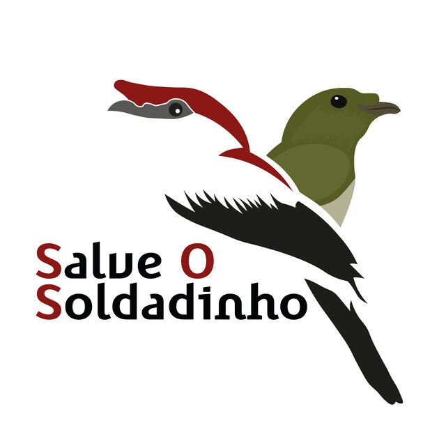 Salve o Soldadinho