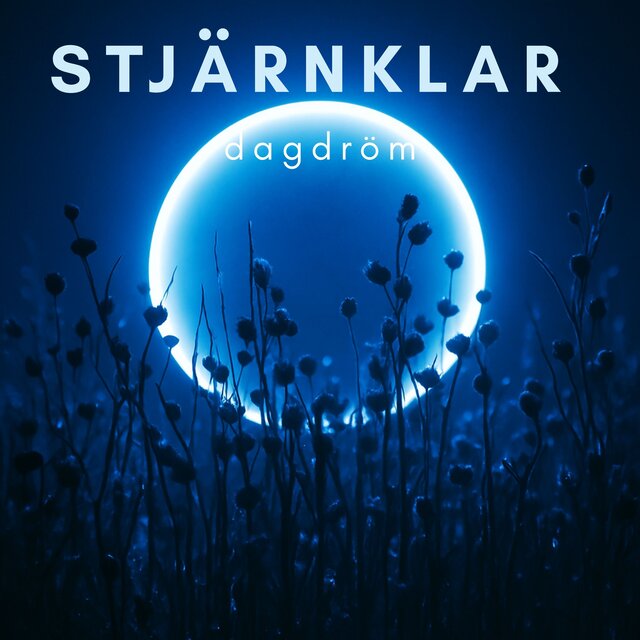 Stjärnklar dagdröm