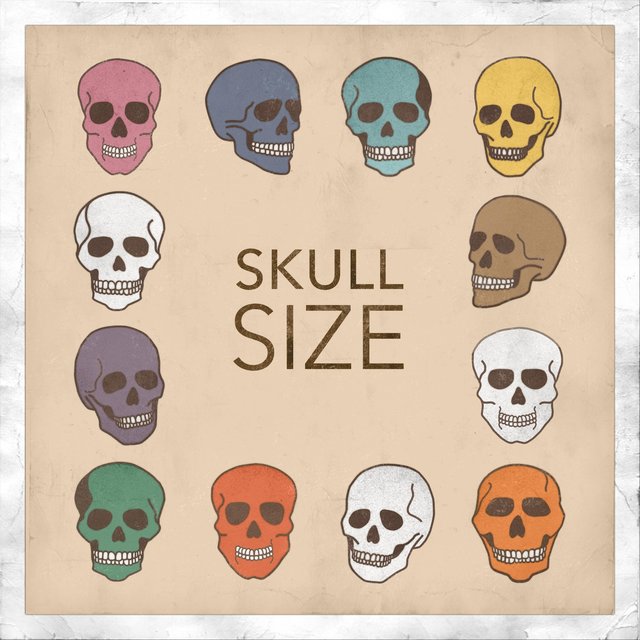 Skull Size