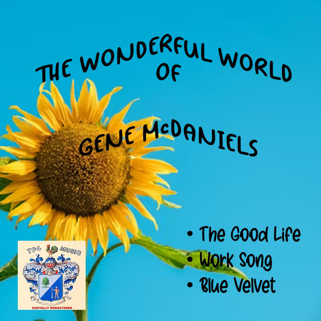 The Wonderful World